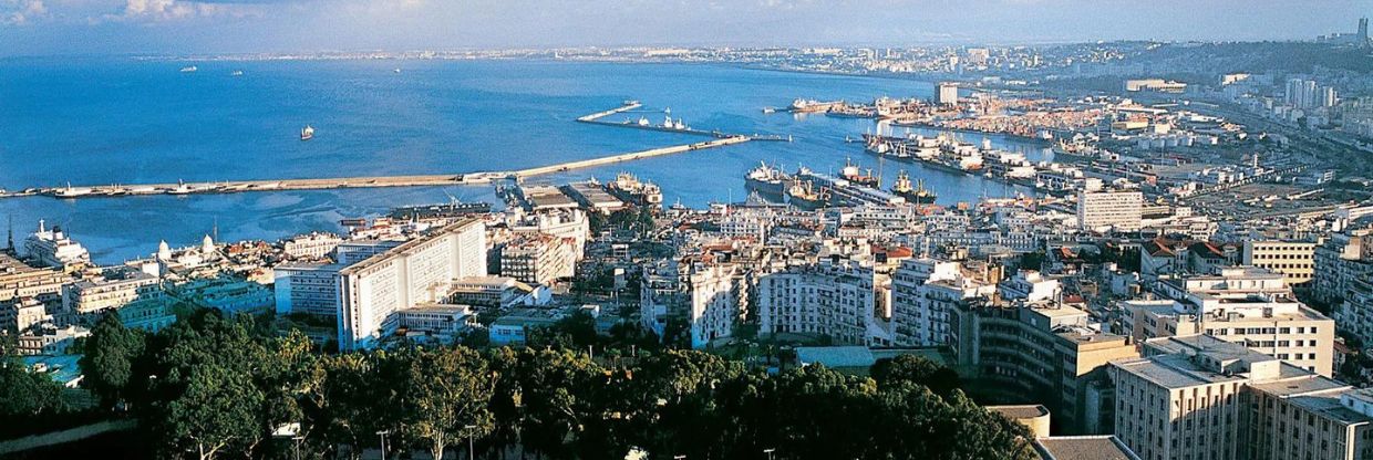 Turkish Airlines Algiers Office in Algeria