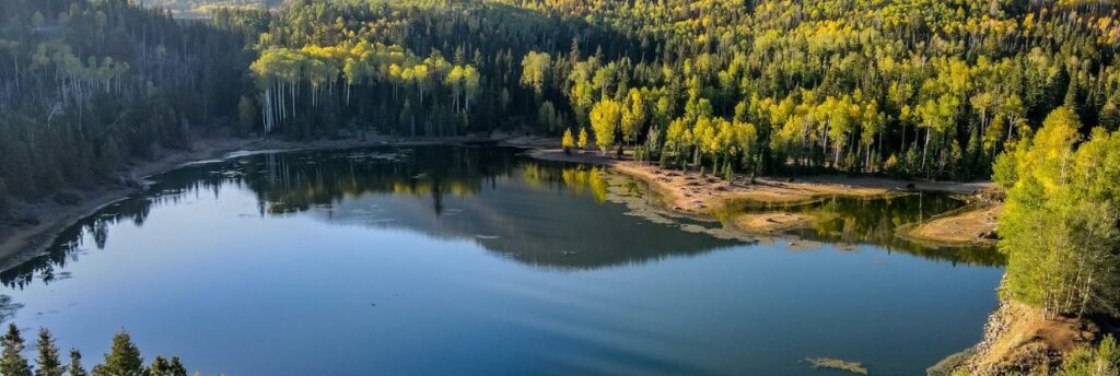 Beaver - Alaska