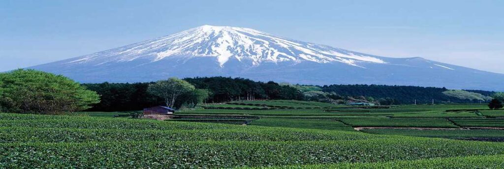 Mount Fuji-Japan